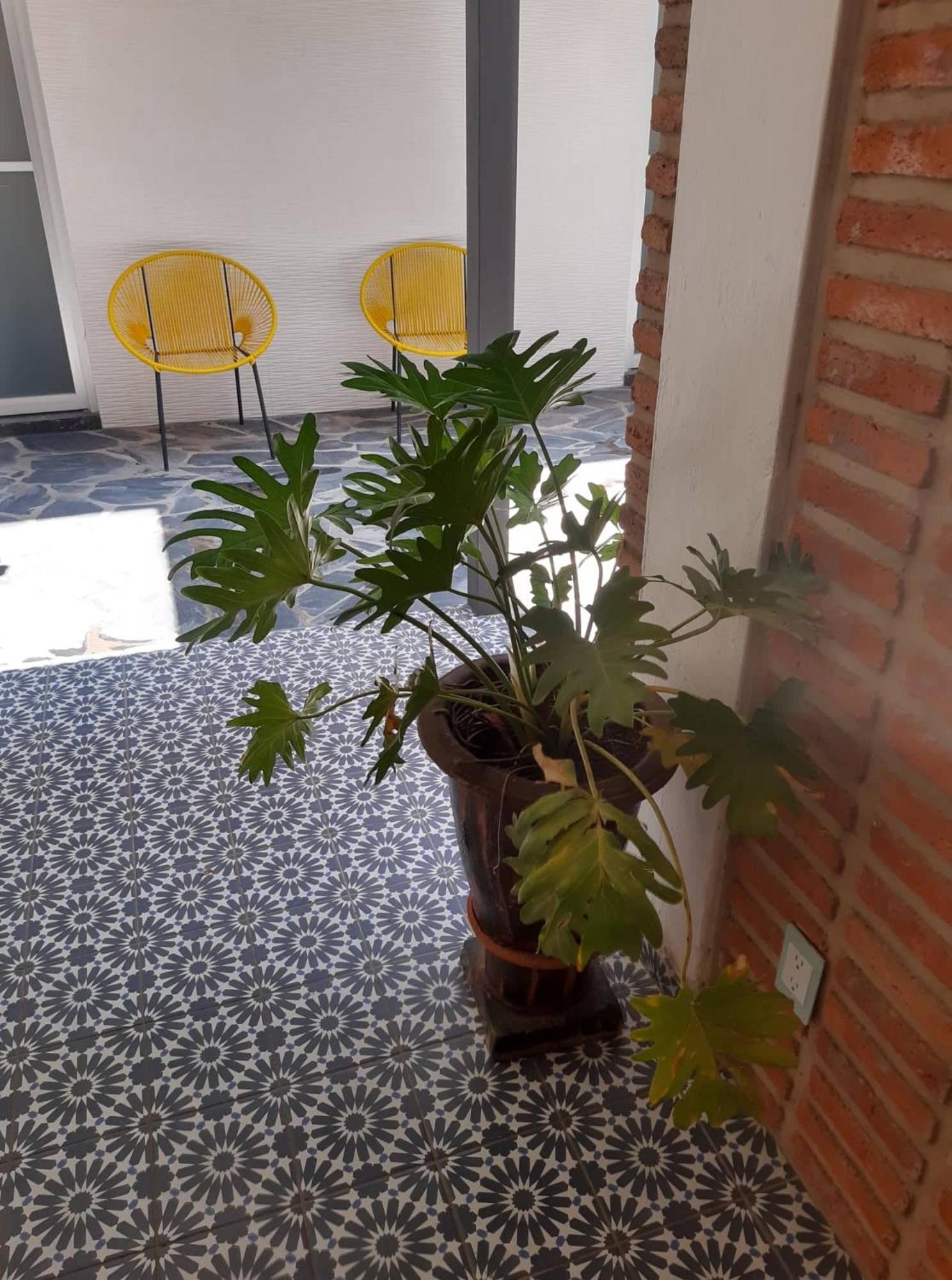Estudio #5 Casa Fatima, 8 Min Del Centro 1 Persona Guadalajara Buitenkant foto